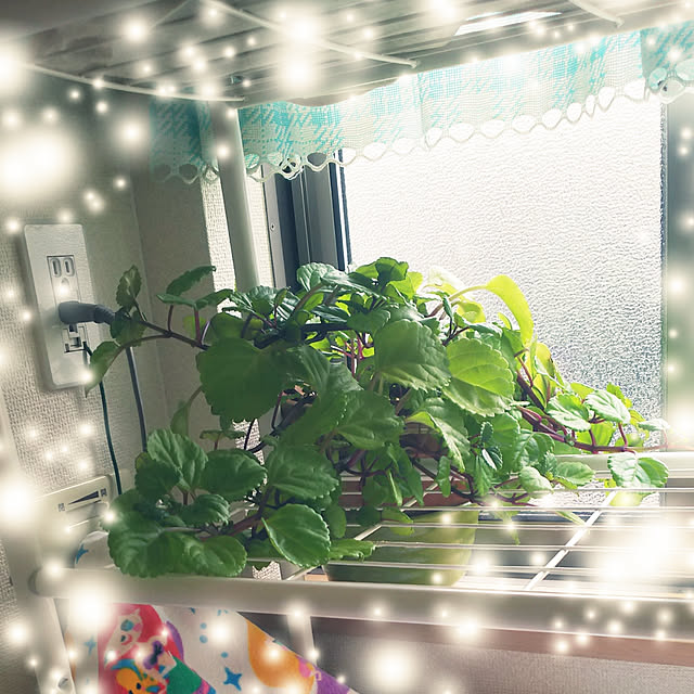 mmpoohさんの実例写真