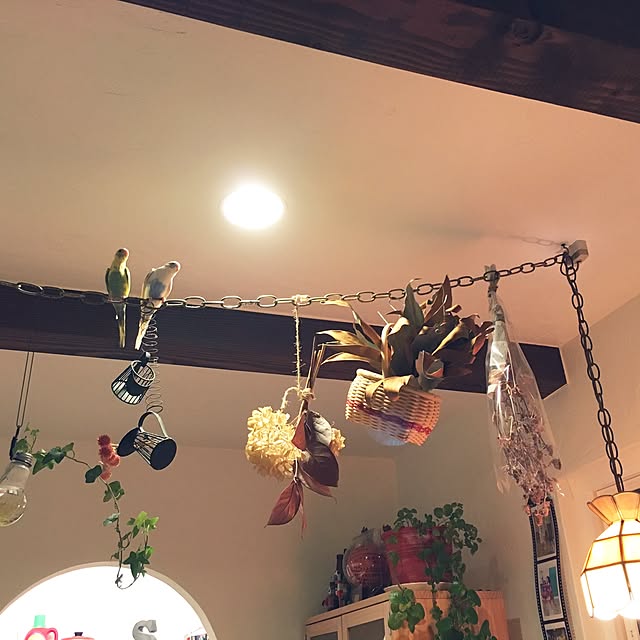 gakoさんの実例写真