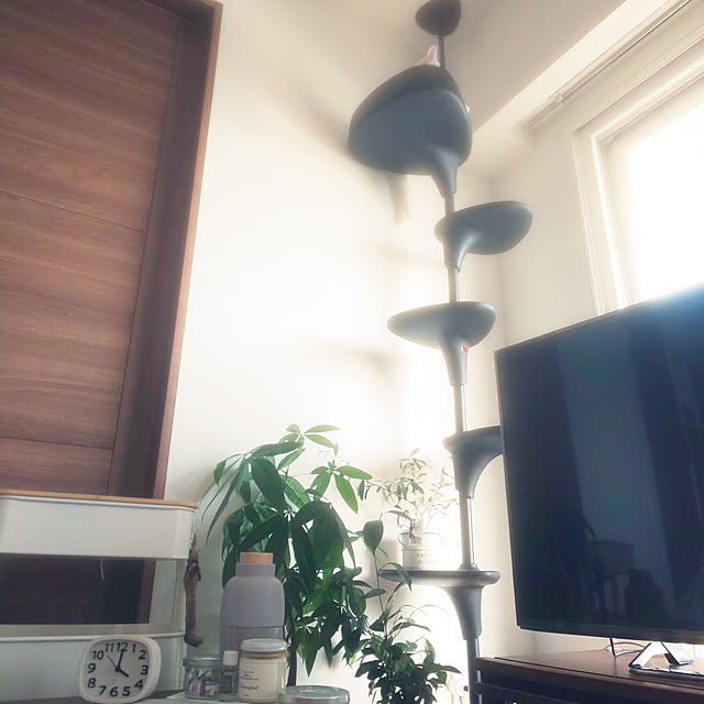 necoさんの実例写真