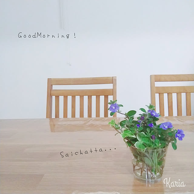 kariaさんの実例写真