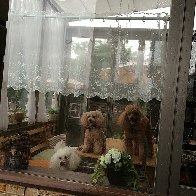 mocamamaさんの実例写真