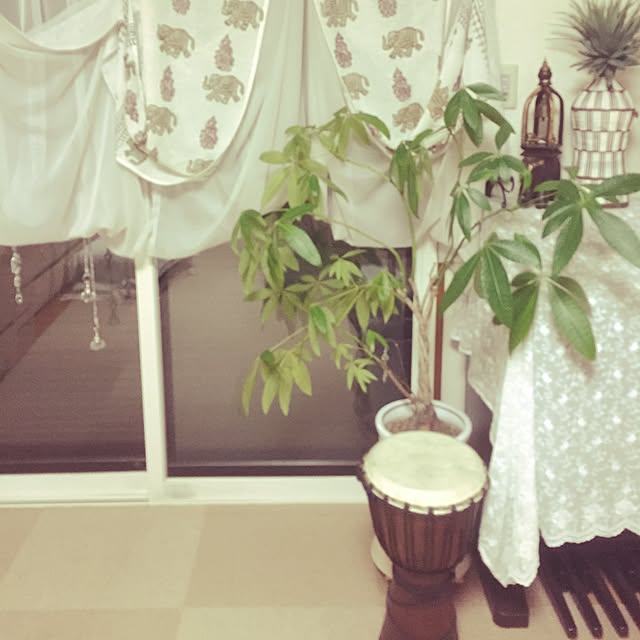 marikaさんの実例写真