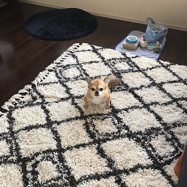 ai_qoo_hideさんの実例写真