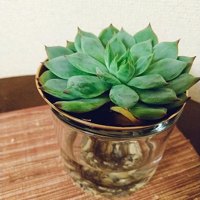 Takakoさんの実例写真