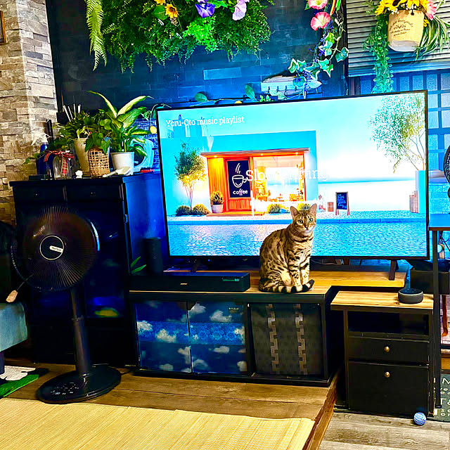 tututu0204さんの部屋