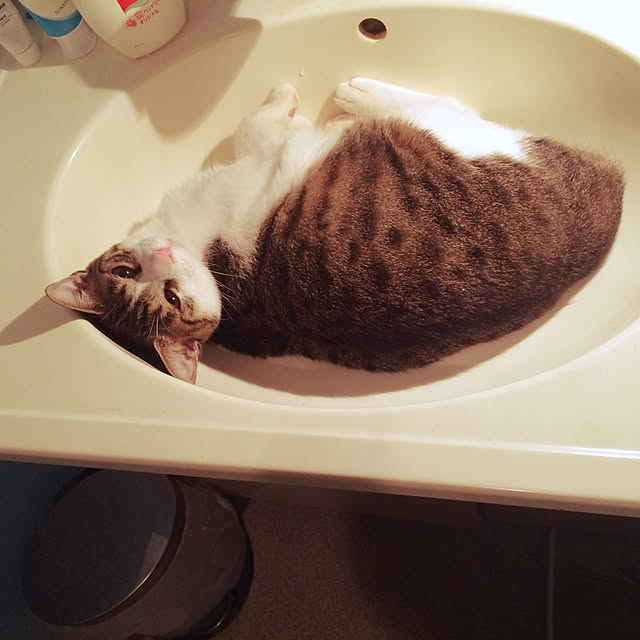 makiさんの実例写真