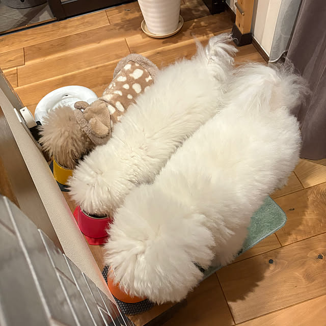 fuafuaさんの実例写真