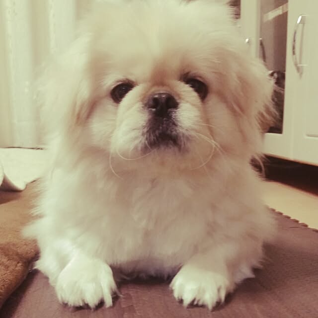 yukaiさんの実例写真