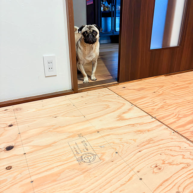 mid0konさんの部屋