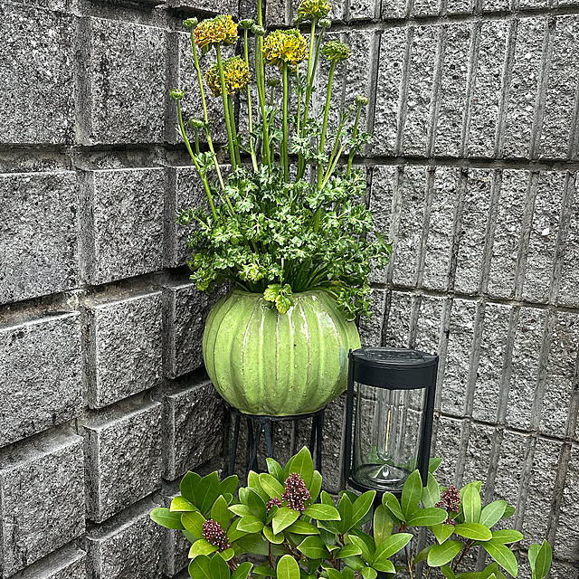 nyanko-beamさんの部屋