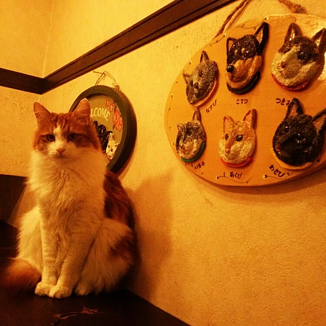 sukusuku834さんの実例写真