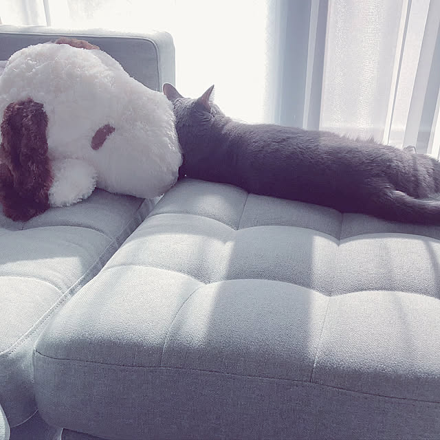snoopyさんの実例写真