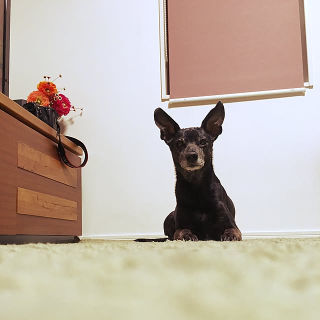 70さんの実例写真