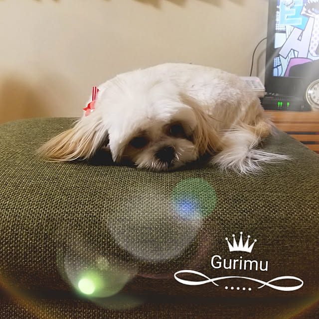 n.kskwさんの実例写真