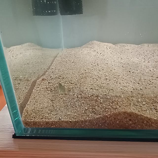 soyokoさんの部屋