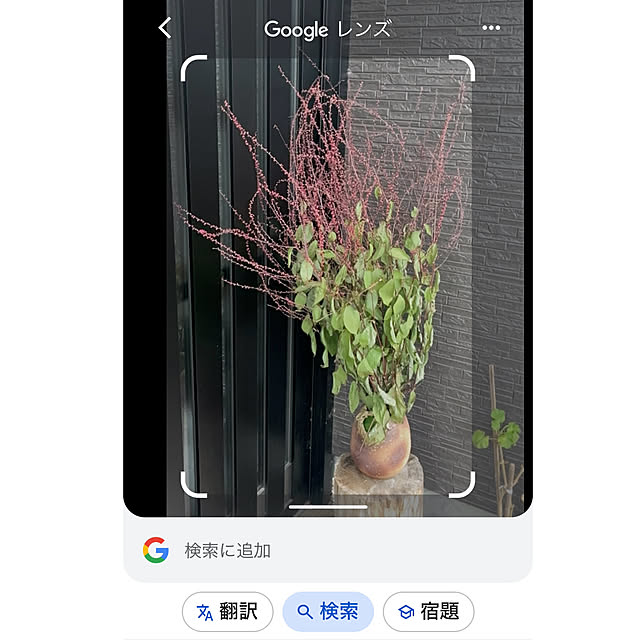Attaさんの部屋
