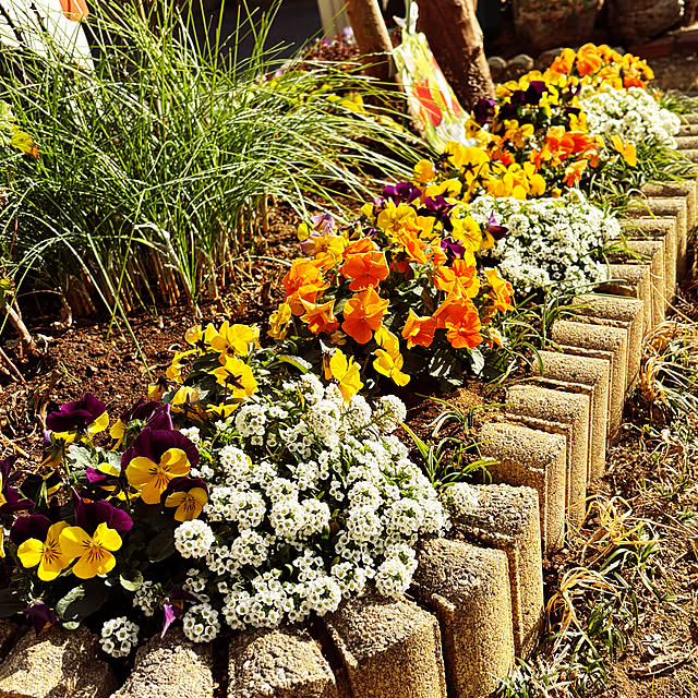 KYONさんの実例写真