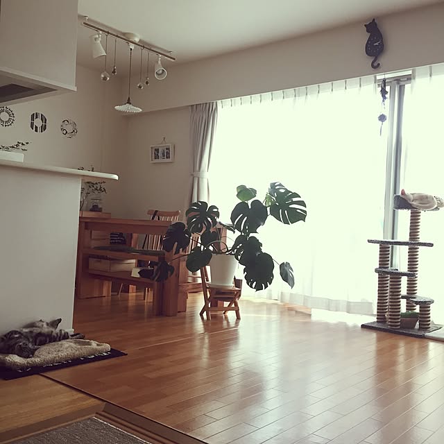 hiyupan88さんの実例写真