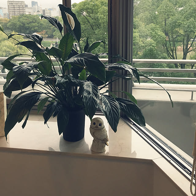 1209さんの実例写真