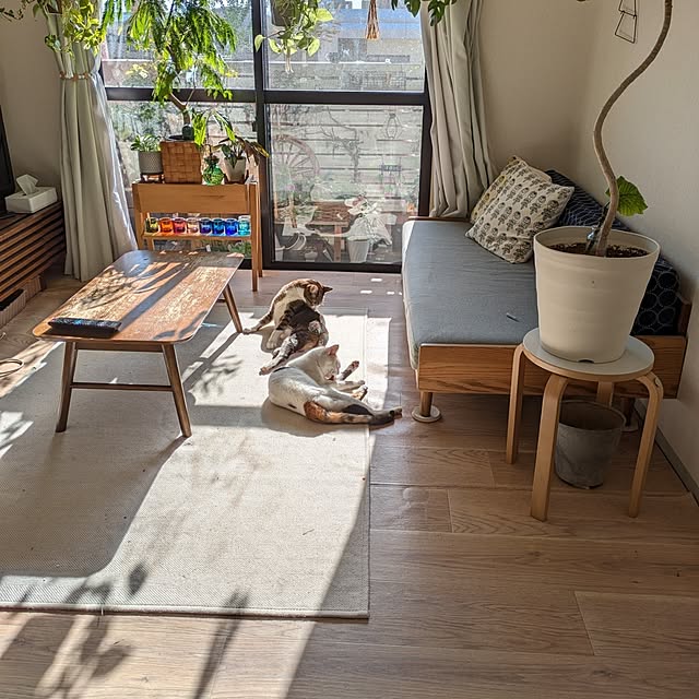 ichi.さんの実例写真