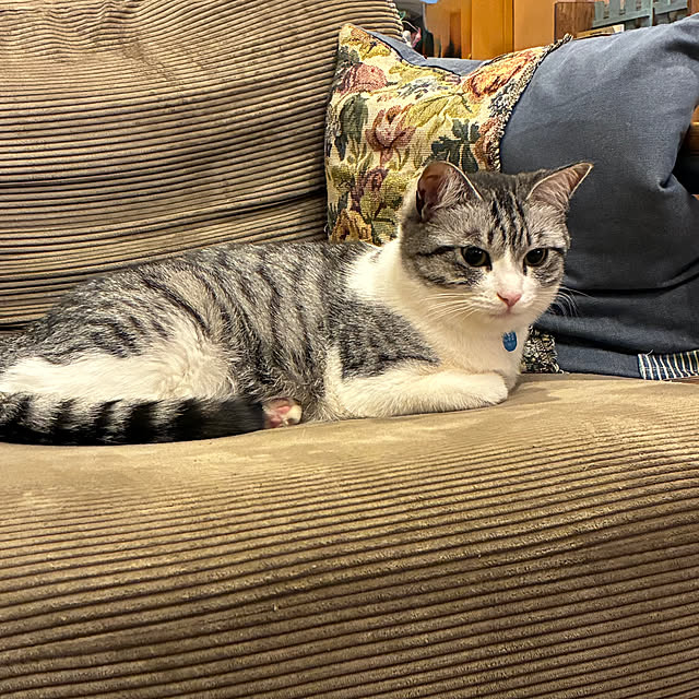 buchikoさんの部屋