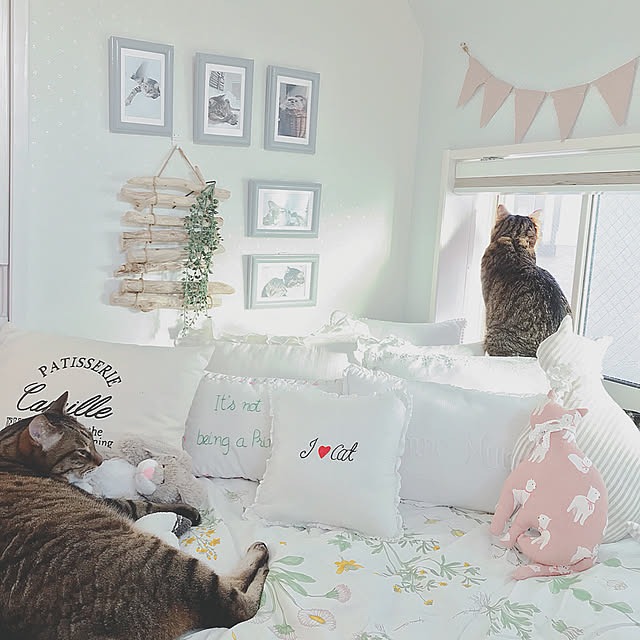 lovecatさんの実例写真