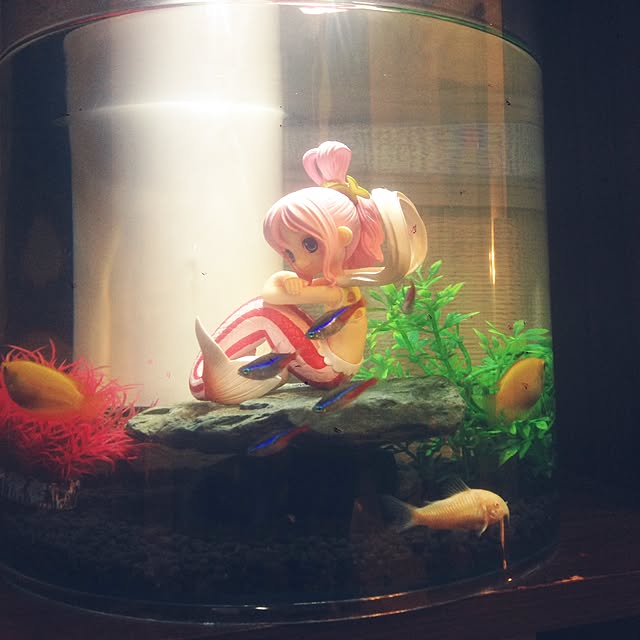 KAZUYAさんの実例写真