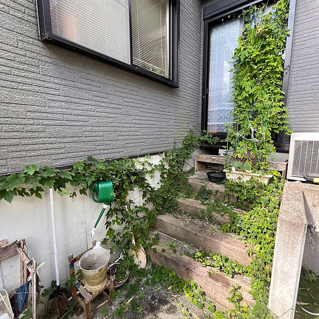 jijiさんの部屋