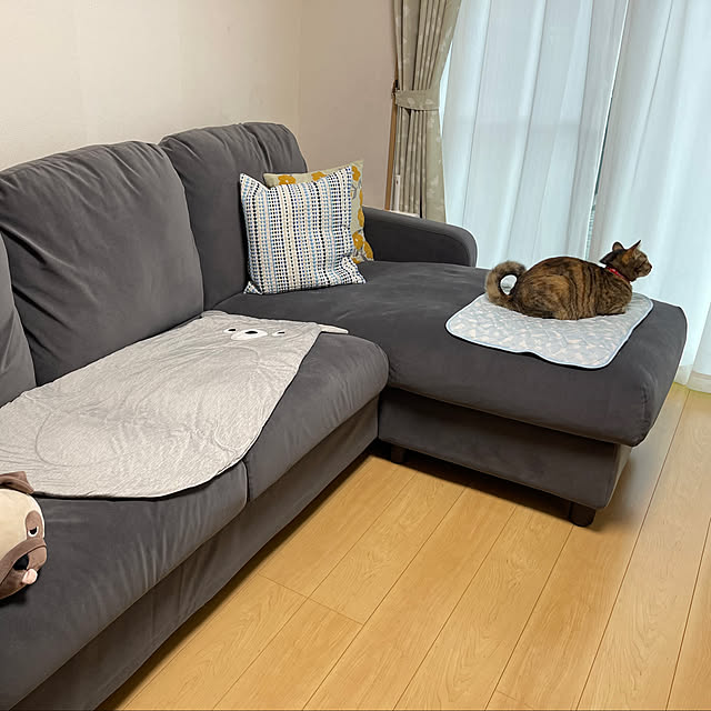 chiiさんの部屋
