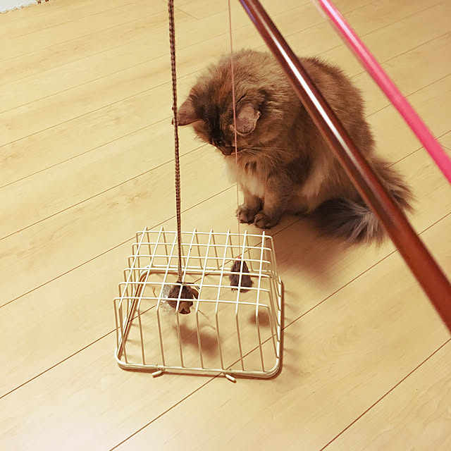 tokoさんの実例写真