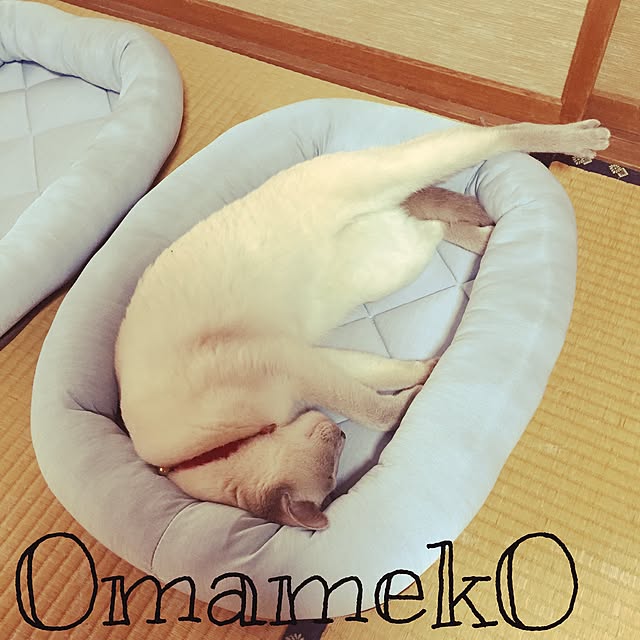 OmamekOさんの実例写真