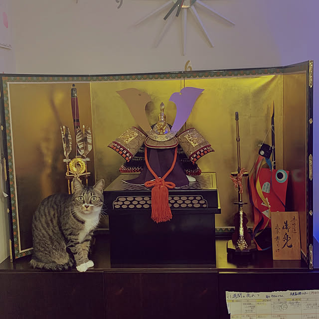 Kaeさんの実例写真