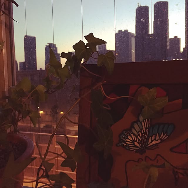 nabe10さんの実例写真
