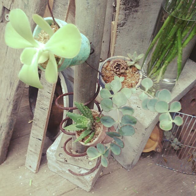 GreenWorksさんの実例写真