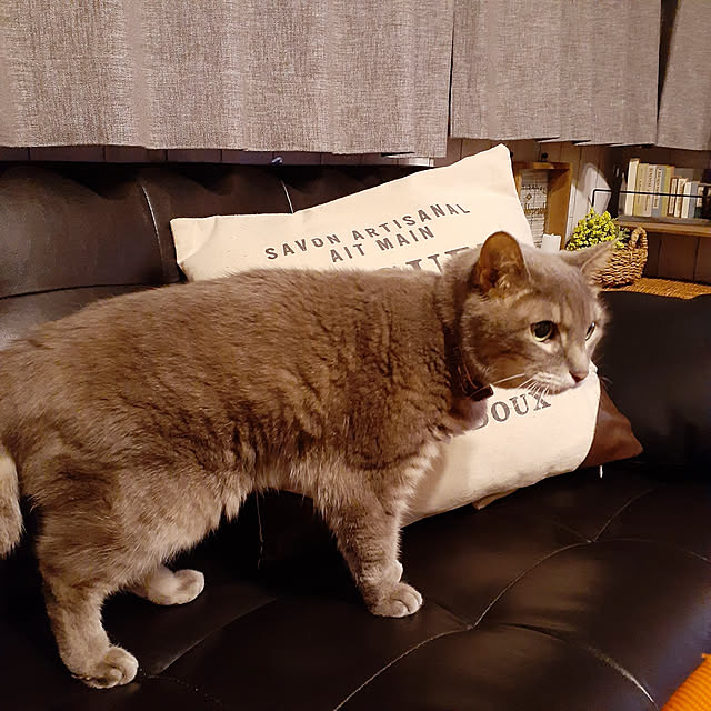 naoporonさんの実例写真