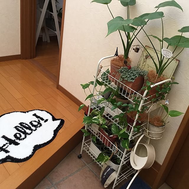 mippoko345さんの実例写真