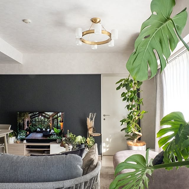 tomoruriさんの実例写真