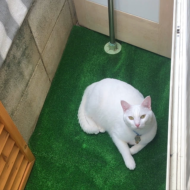 moyuhiさんの実例写真
