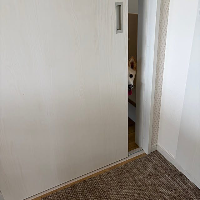 tanboさんの部屋