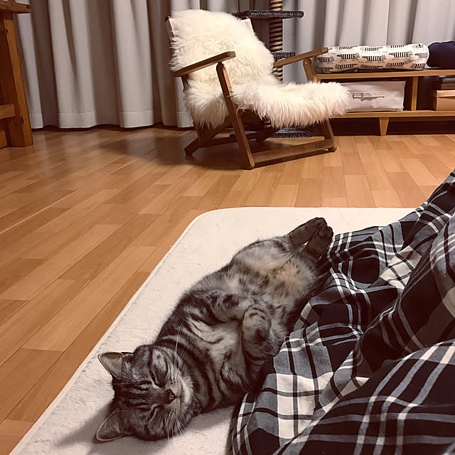 hiyupan88さんの実例写真