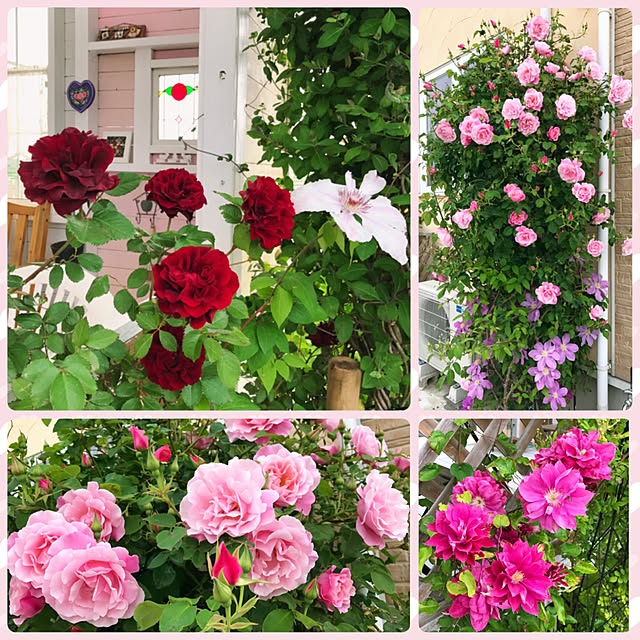 HappyRoseさんの実例写真