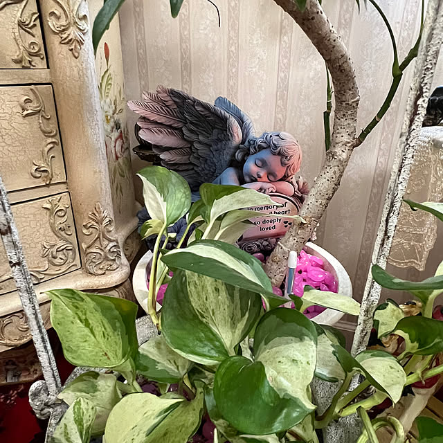 AYUKOさんの実例写真