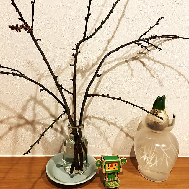 kurinさんの実例写真