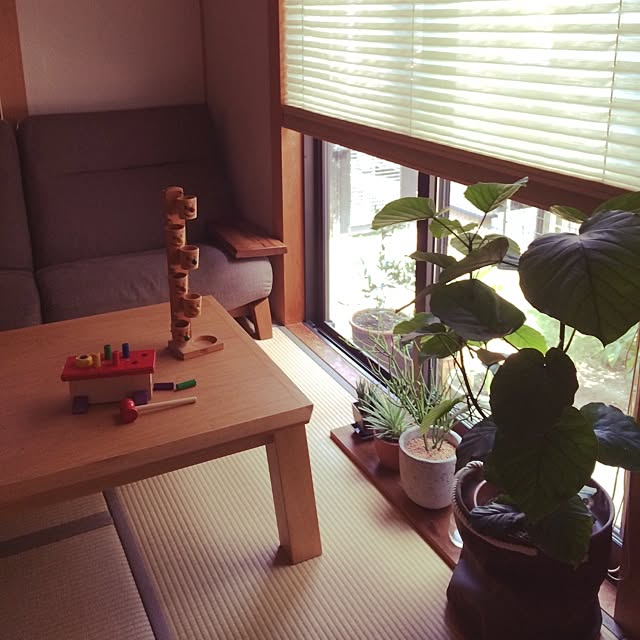 akiさんの実例写真