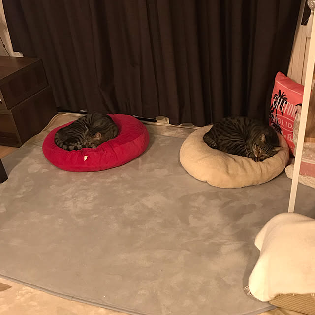 m.and.mさんの実例写真