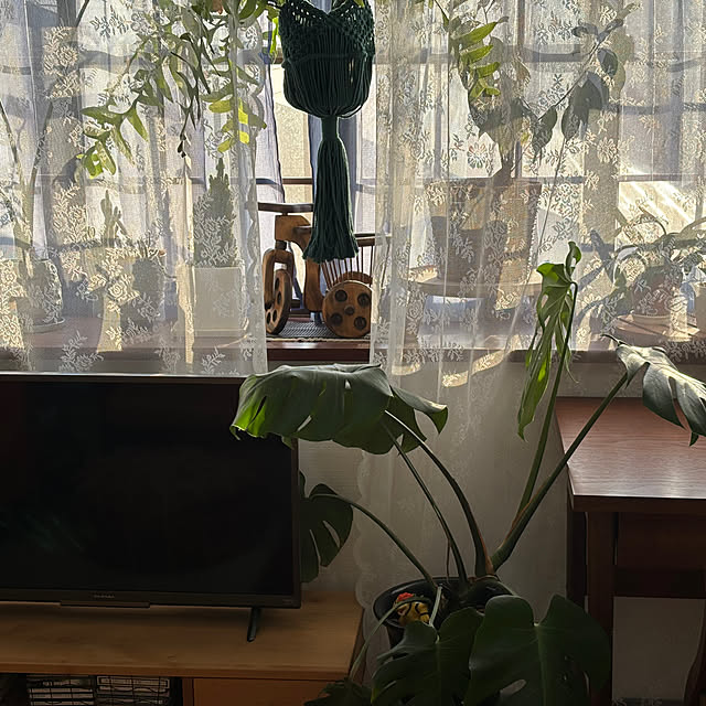ndmynwkさんの実例写真