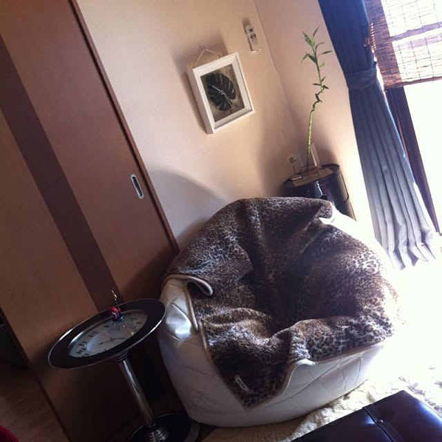 momongaさんの実例写真