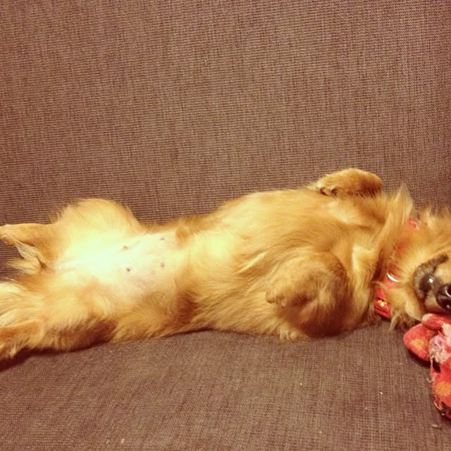 katsuwoさんの実例写真