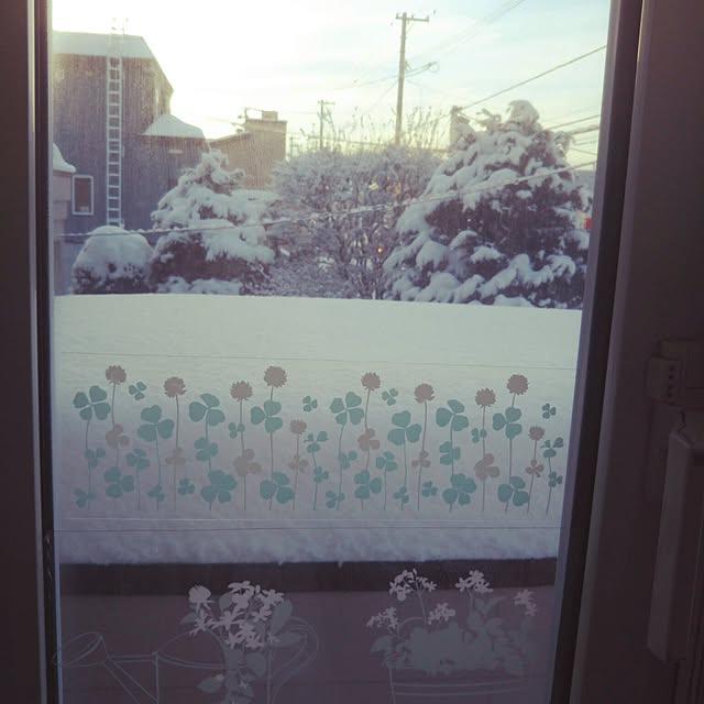 chinon7211さんの実例写真