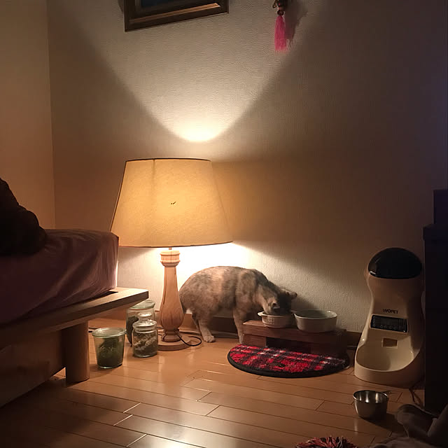 madaraさんの実例写真